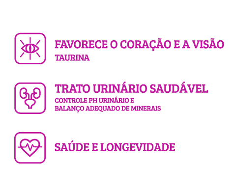 icons_everyday_gatos_adultos